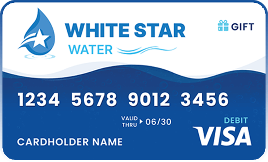 WSW Visa eGift Card